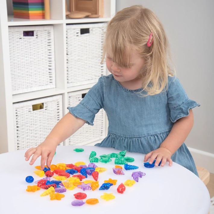 Conchiglie Colorate Traslucide - Confezione da...