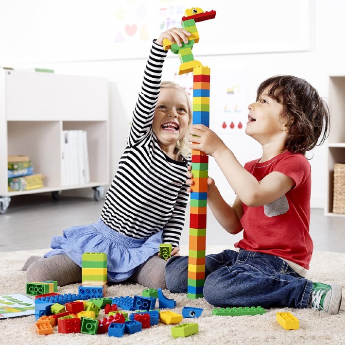 Creative LEGO® DUPLO® Brick Set