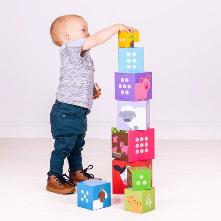 Cubi Impilabili "Animali del Cortile" in Cartone - Dimensione Cubo 15 x 15 cm