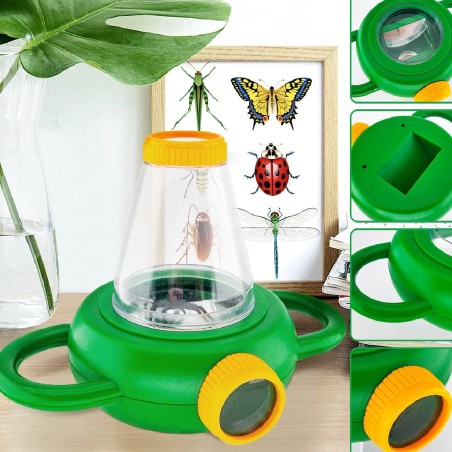 Formicaio con Strumenti di Osservazione