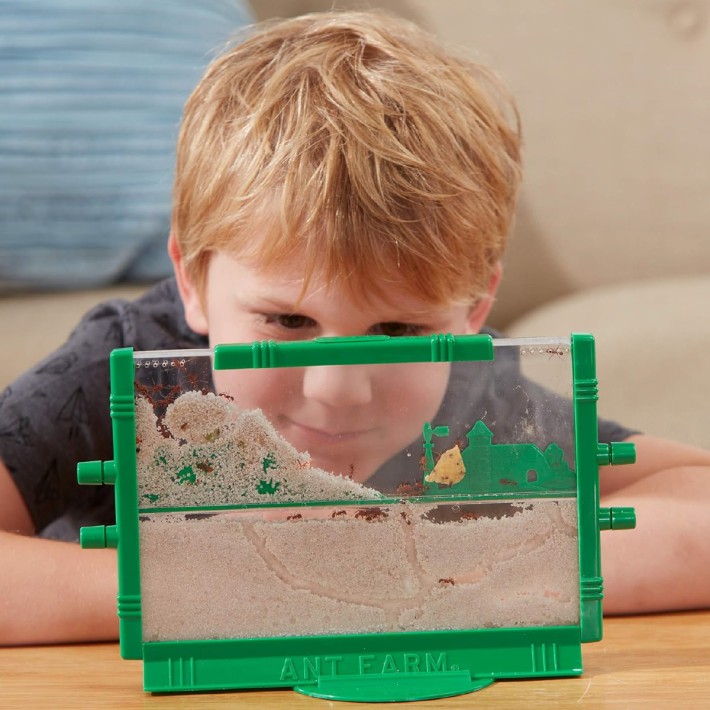 Formicaio con Strumenti di Osservazione