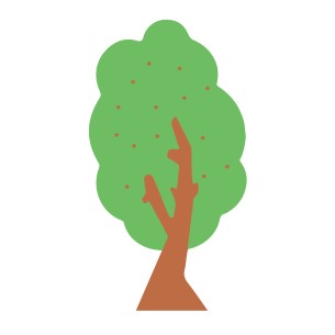 Grande Albero Double Stagioni/Presenze in Legno Verniciato