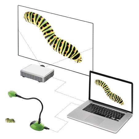 HUE HD Camera - Document Camera - 720p - Colore Verde