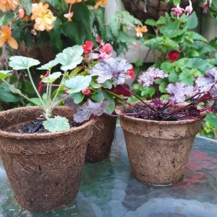 Set 20 Vasetti di Torba 100% Biodegradabili - Dimensioni... 2