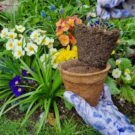 Set 20 Vasetti di Torba 100% Biodegradabili - Dimensioni ø  6 cm