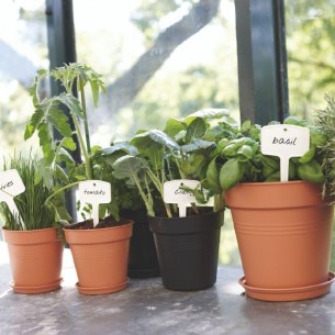 Set 5 Cartellini per Vasi 2