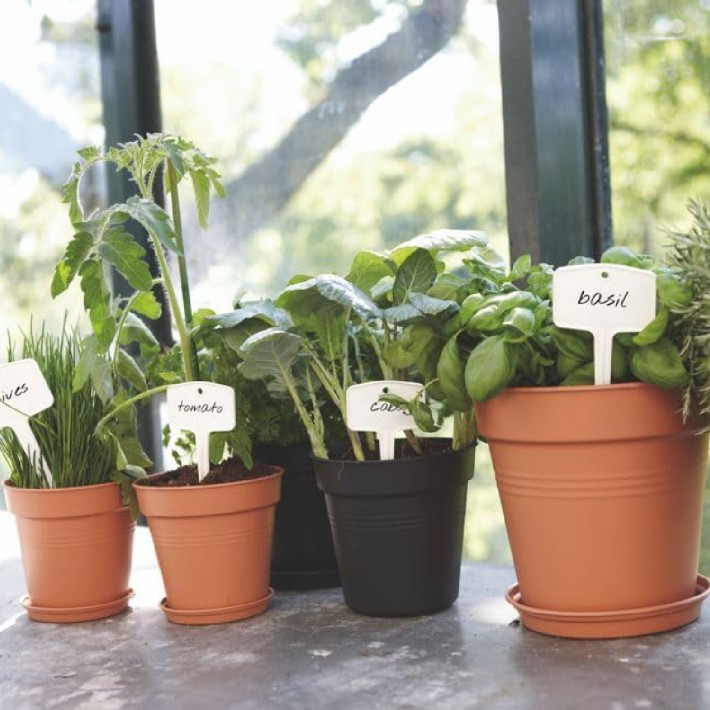 Set 5 Cartellini per Vasi