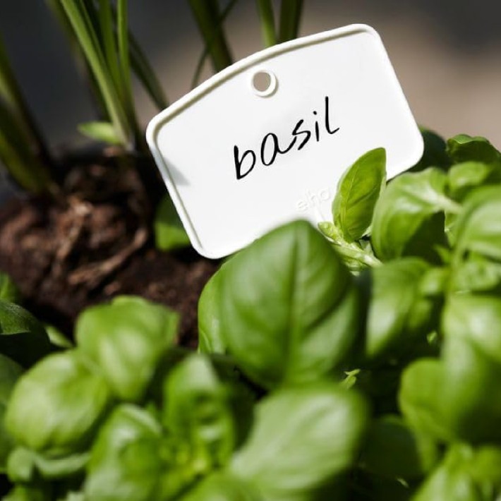 Set 5 Cartellini per Vasi