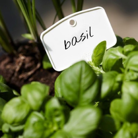 Set 5 Cartellini per Vasi