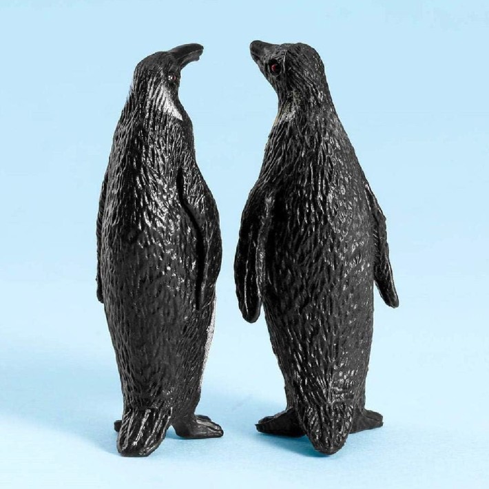 Set 6 Animali del Ghiaccio