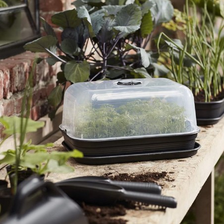 Set Coltivazione da Tavolo con Coperchio