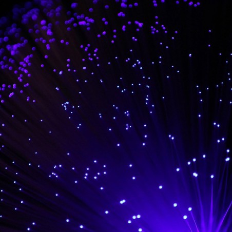 Strumento Sensoriale - Lampada LED ad Albero in Fibra Ottica