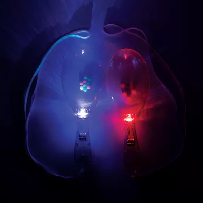 Strumento Sensoriale - Maracas Luminose