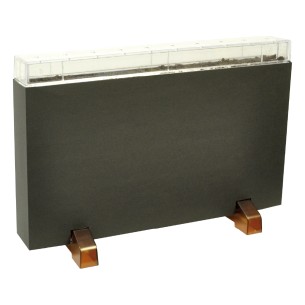 Terrario Trasparente "Esplorando il Sottosuolo" 2