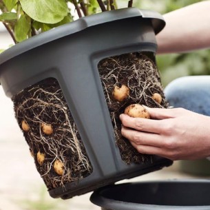 Vaso Estraibile per Patate e Bulbi 2