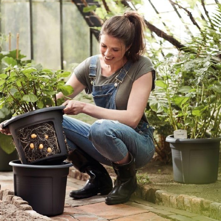 Vaso Estraibile per Patate e Bulbi
