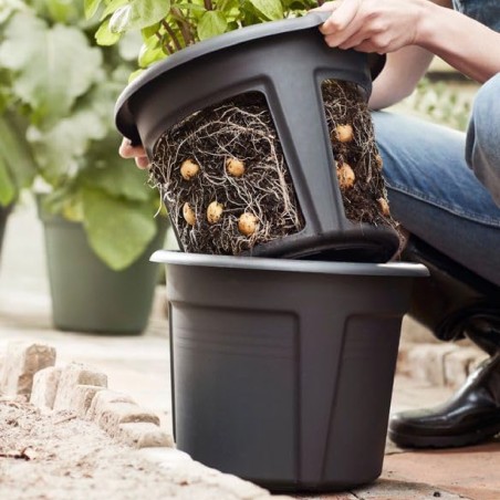 Vaso Estraibile per Patate e Bulbi