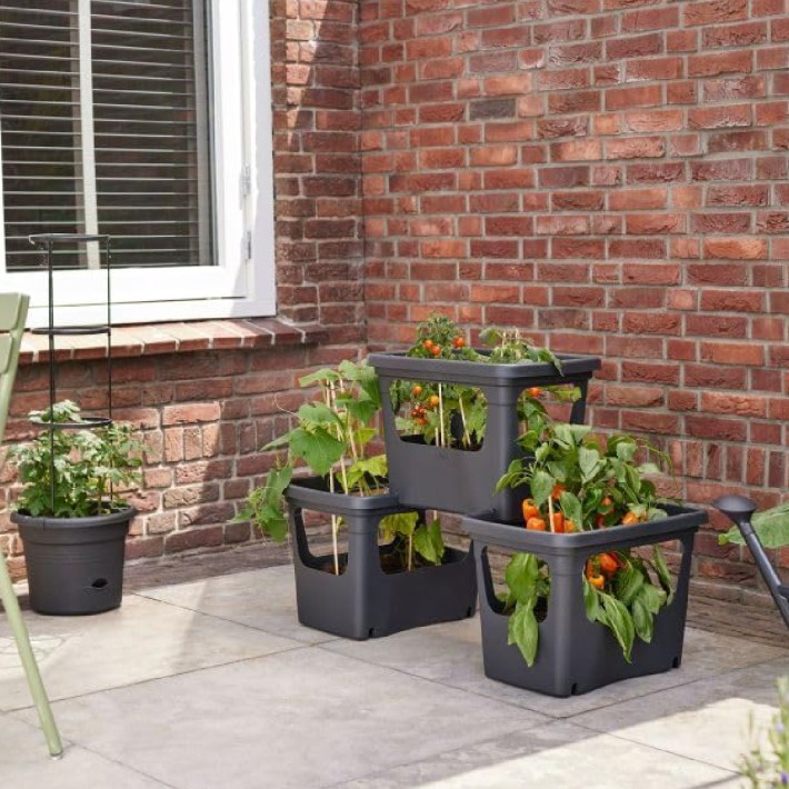 Vaso Impilabile per Colture