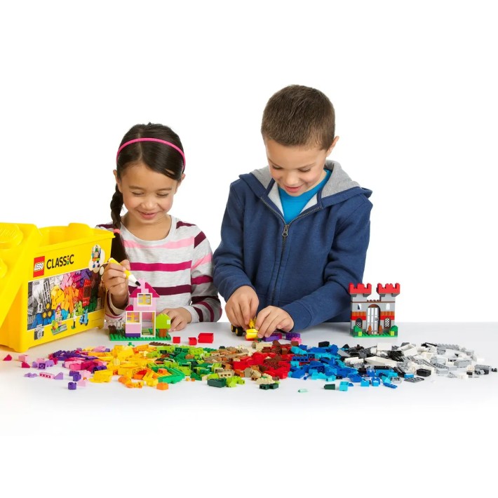 LEGO® Large Creative Brick Set