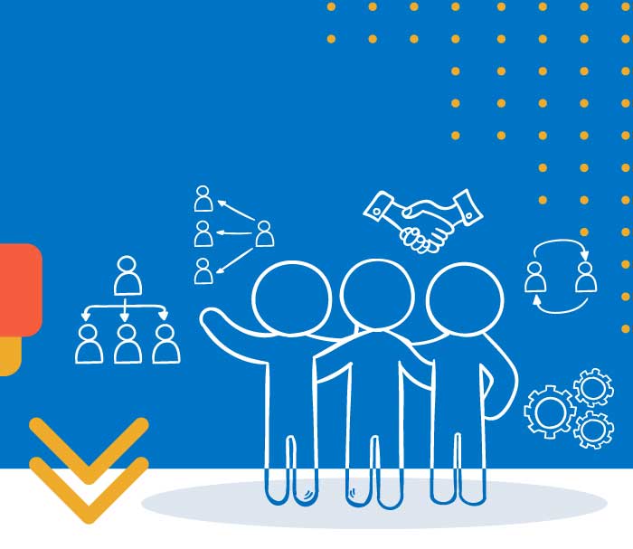 grafica che rappresenta il team di c2 group